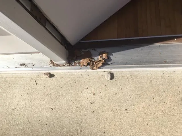 Professional lawn mowing service experts serving Traverse City, MI - Great Lakes Lawn & Landscapes