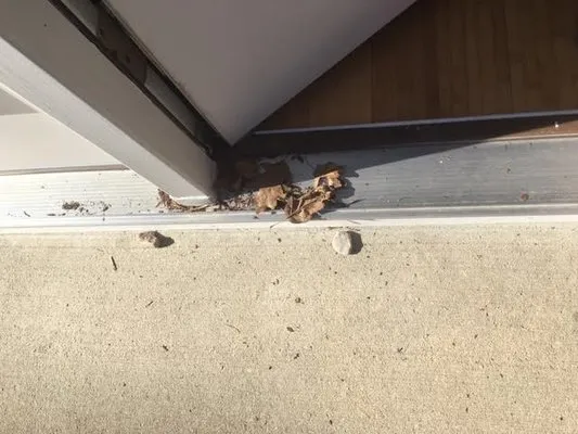 Great Lakes Lawn & Landscapes Logo