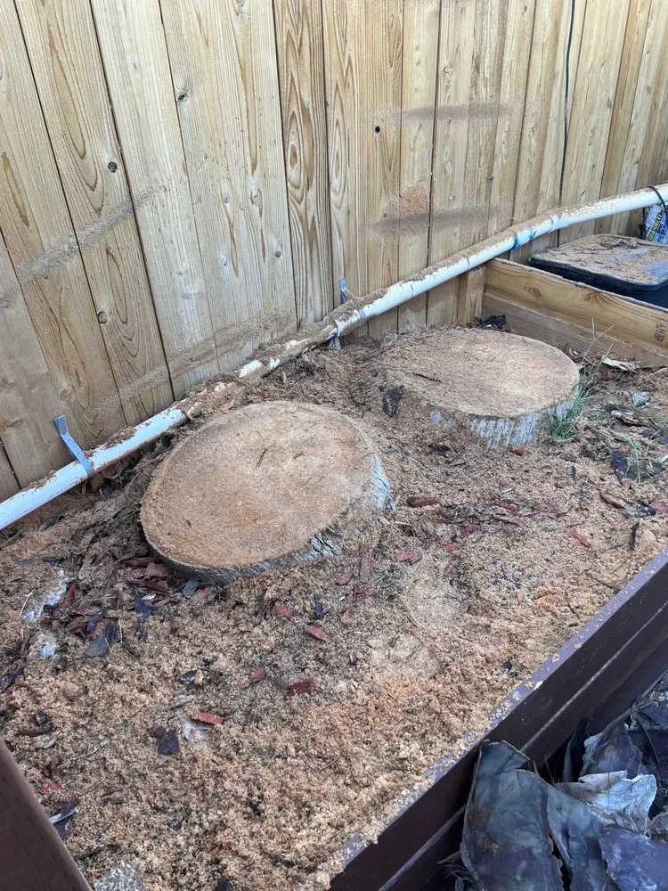 Reliable yard maintenance in North Las Vegas, NV by Great Landscaping And Maintenance