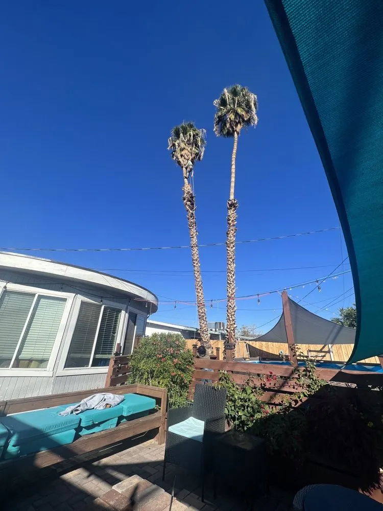 Professional yard cleanup service for homes in North Las Vegas, NV by Great Landscaping And Maintenance