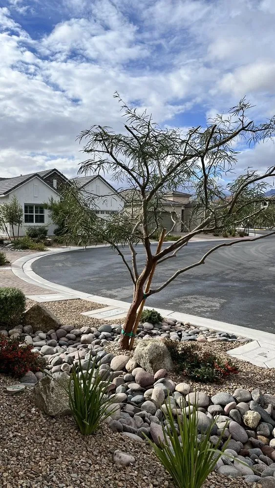 Trusted landscape installation experts serving North Las Vegas, NV - Great Landscaping And Maintenance