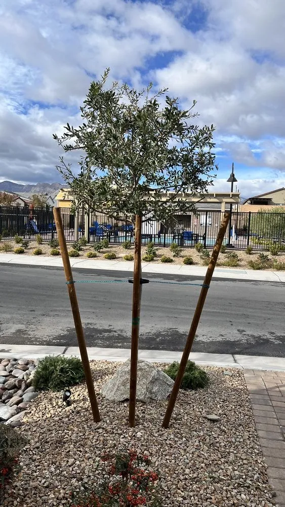 Reliable landscape design experts serving North Las Vegas, NV - Great Landscaping And Maintenance