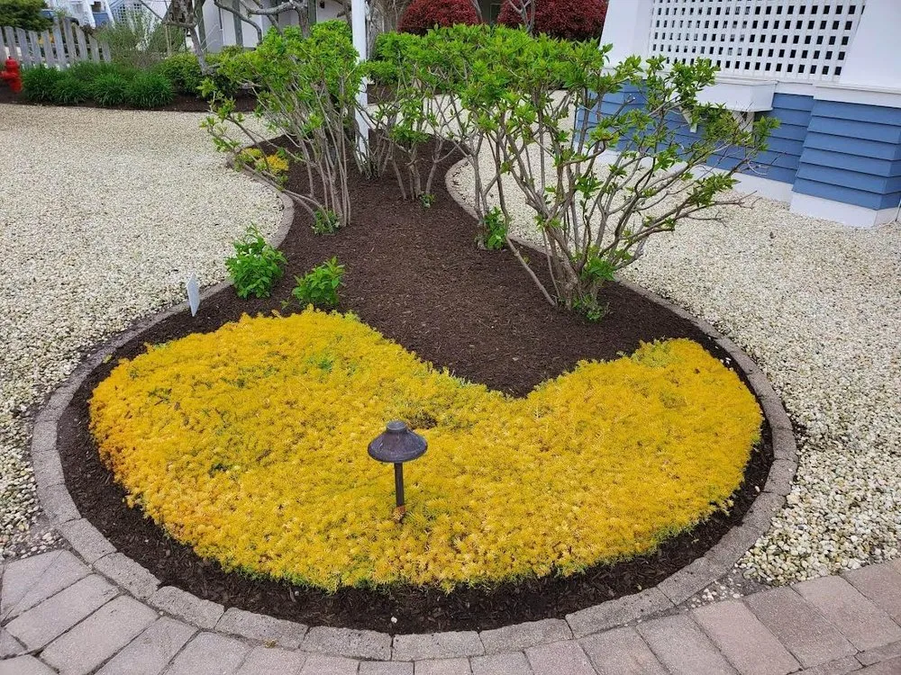 Local landscape design experts serving Pleasantville, NJ - Great Landscaping
