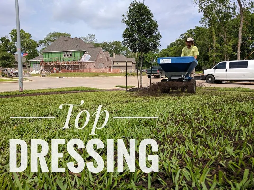 Professional residential landscaping in Richmond, TX by Great Lawn Care