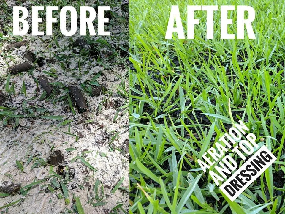 Expert outdoor landscaping for beautiful yards across Richmond, TX - Great Lawn Care