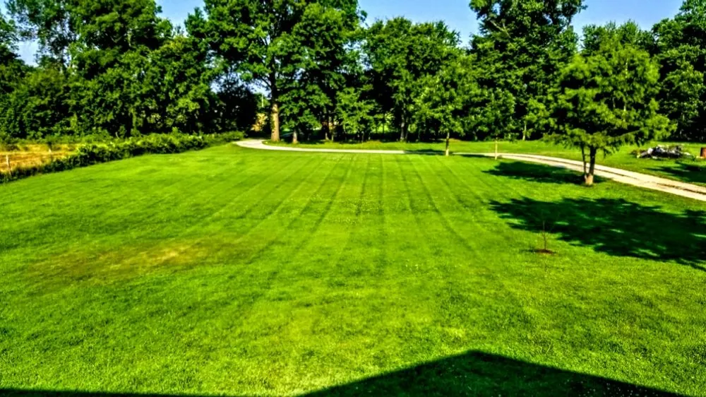 Expert landscaping services near you in Archie, MO by Great Lawn Service