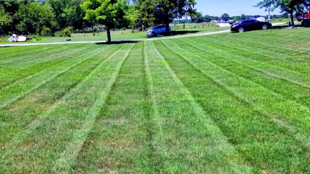 Professional yard cleanup service in Archie, MO - Great Lawn Service
