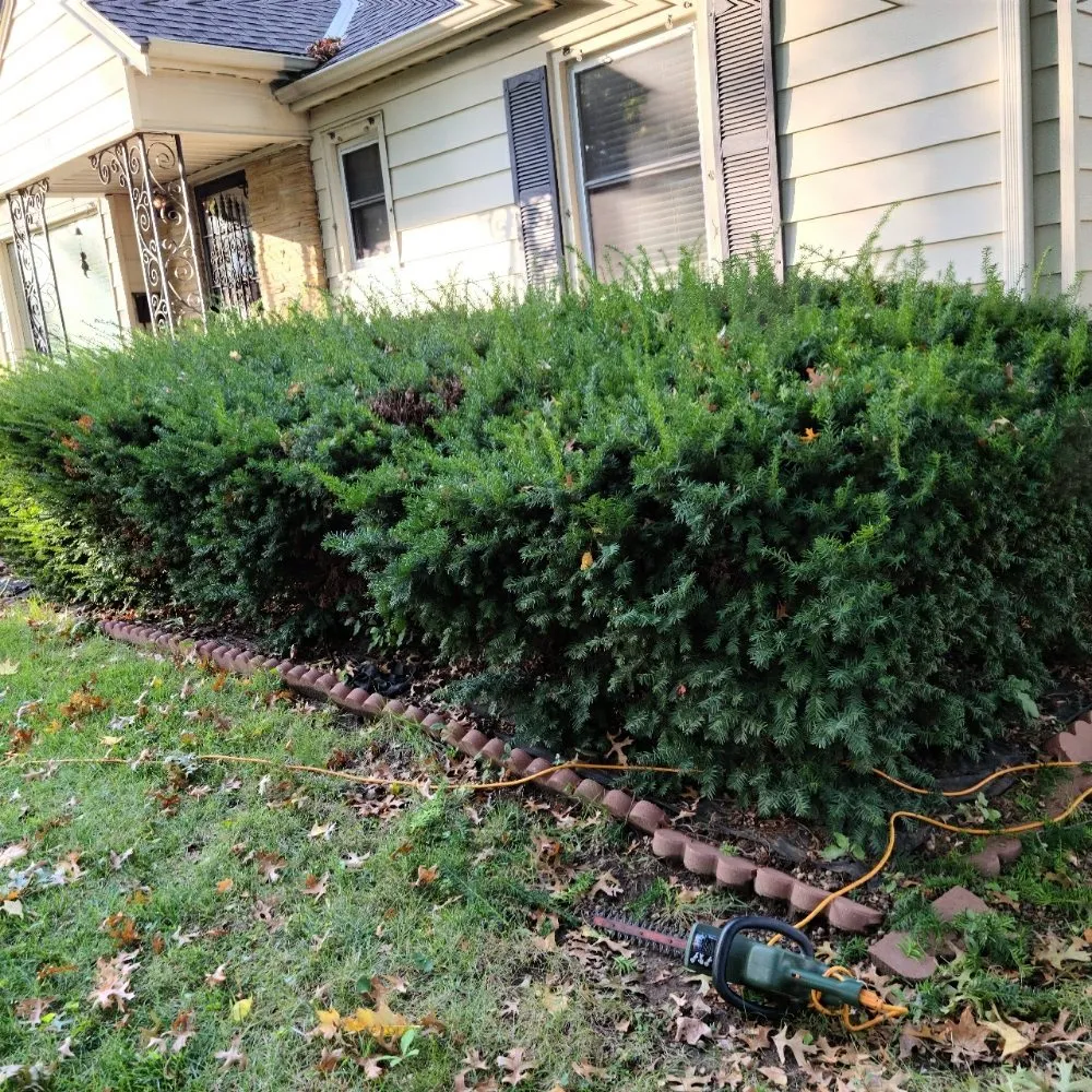 Expert residential landscaping experts serving Archie, MO - Great Lawn Service
