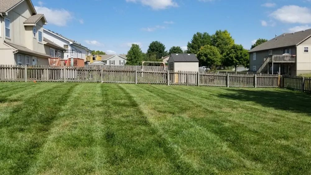 Custom landscape design for homes in Archie, MO by Great Lawn Service