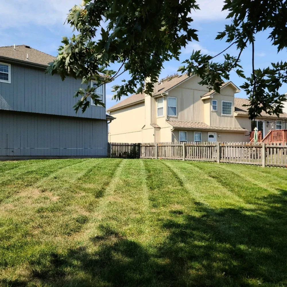 Trusted lawn care service in Archie, MO by Great Lawn Service