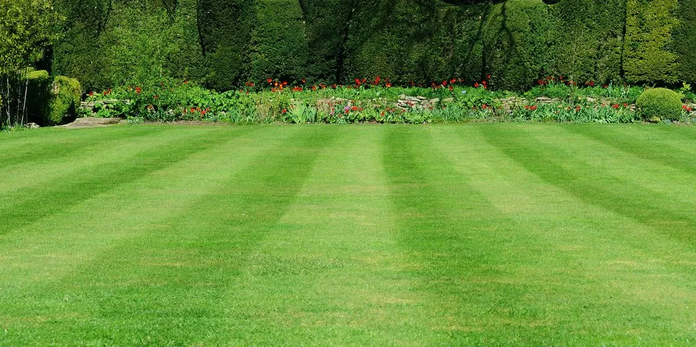 Local lawn mowing service in Southborough, MA by Great Lawns Plus