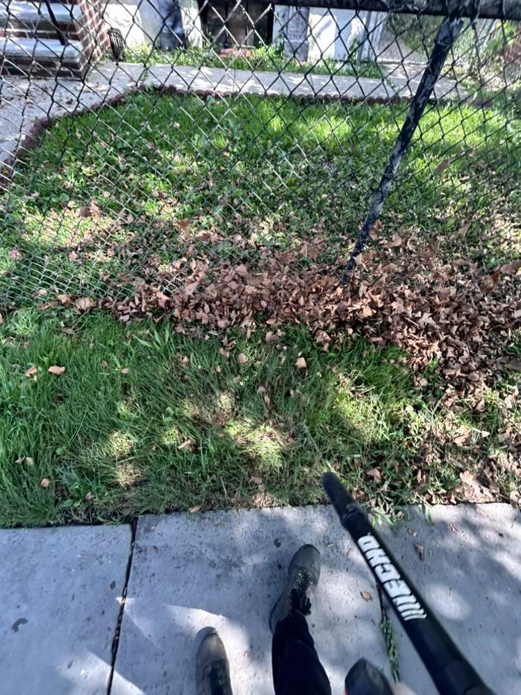 Reliable lawn mowing service experts serving Newark, NJ - Great Luxury Landscape