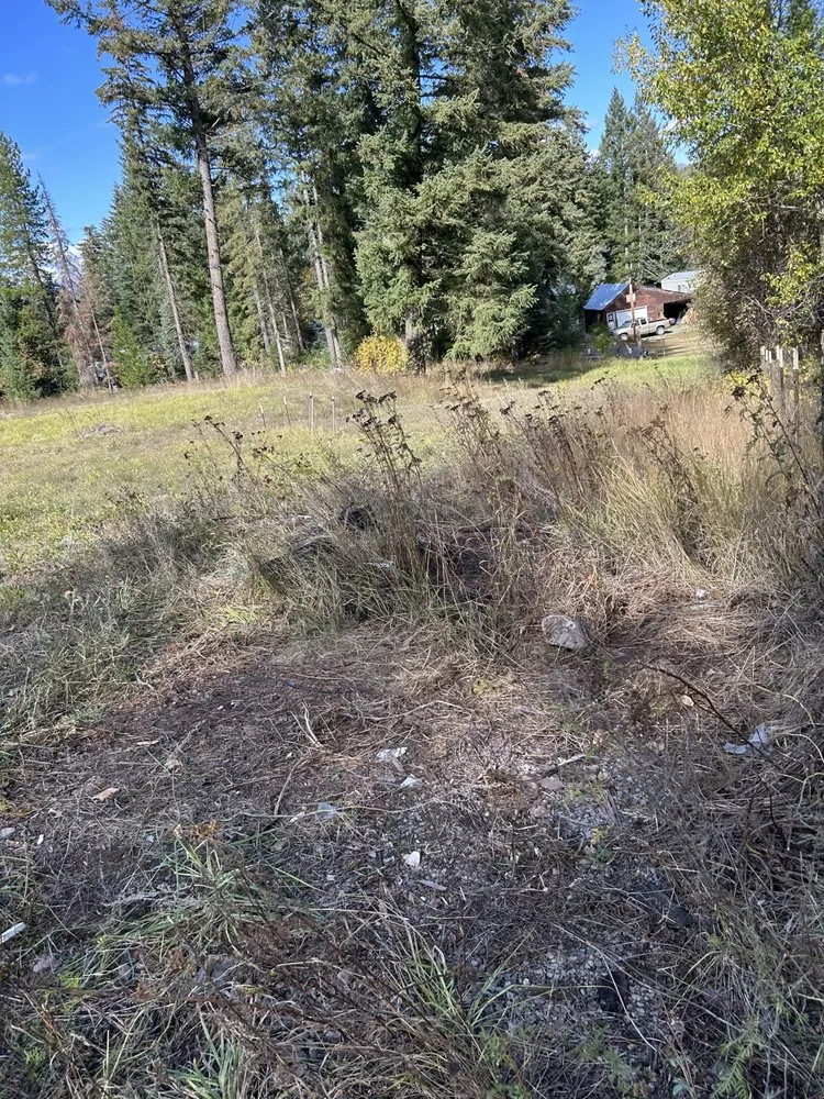 Reliable lawn mowing service for year-round maintenance in Kalispell, MT by Great Northern General Cleanup