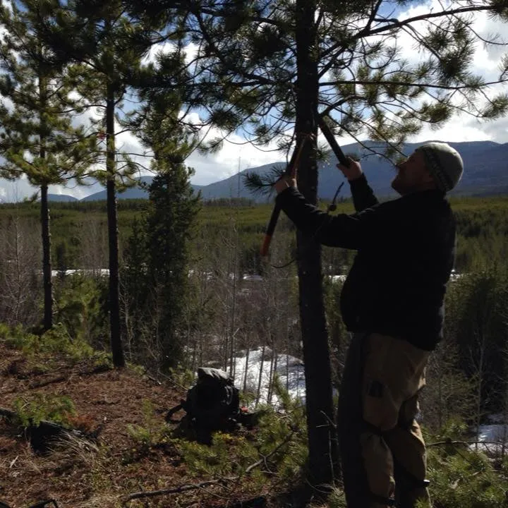 Affordable lawn care service for outdoor upgrades in Whitefish, MT by Great Northern Tree Service and Snow Removal