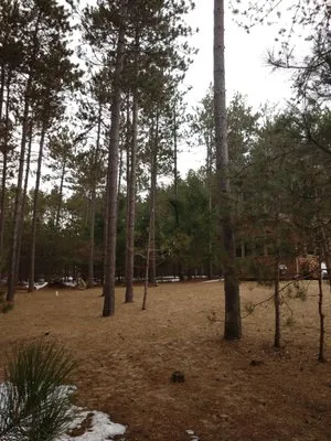 Great Northern Tree Service