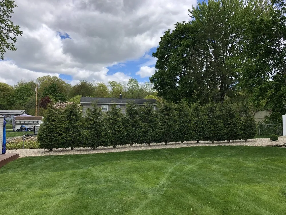 Reliable yard maintenance near you across pleasant valley, NY - Great Oak Landscaping