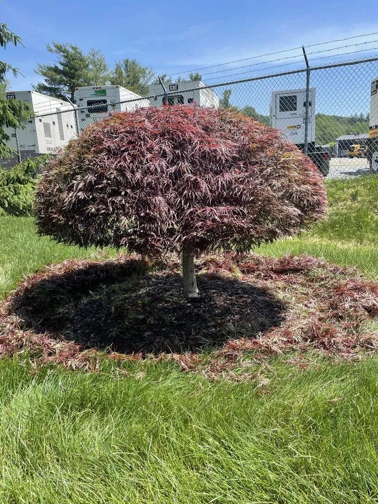 Local garden landscaping near you in pleasant valley, NY by Great Oak Landscaping