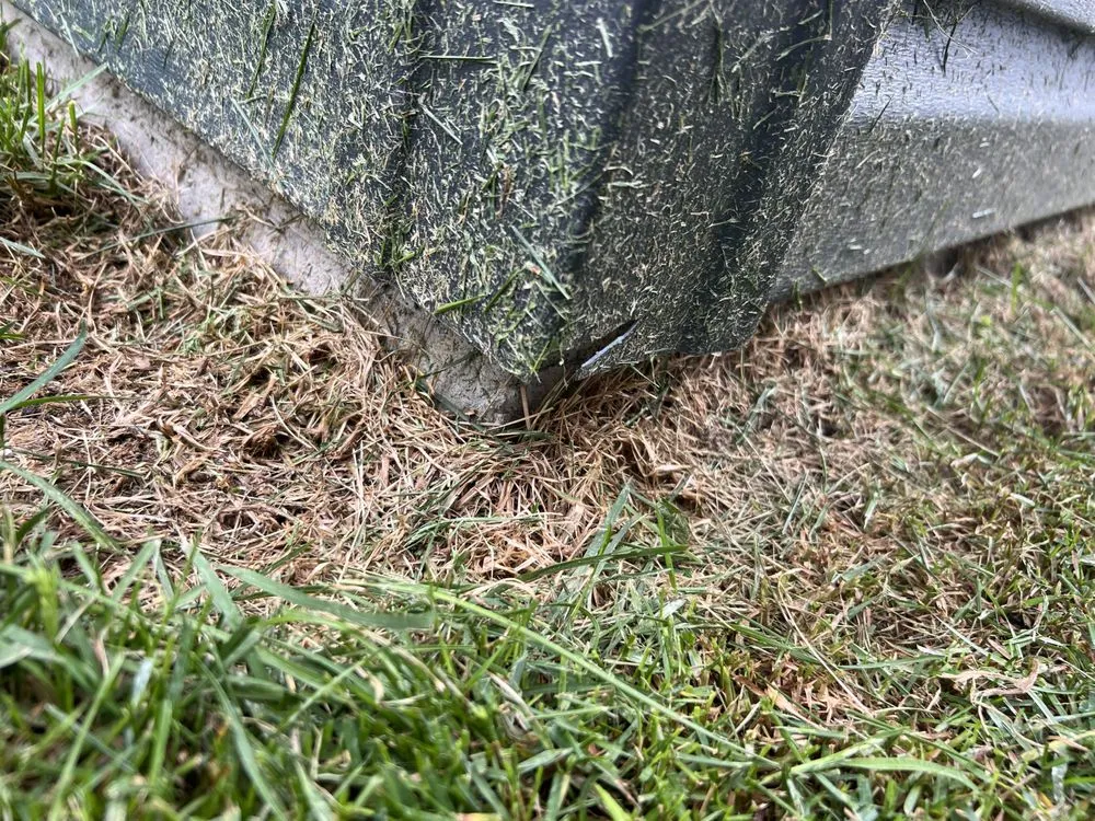 Trusted lawn care service for homes in Novi, MI by Great Oaks Landscape Associates