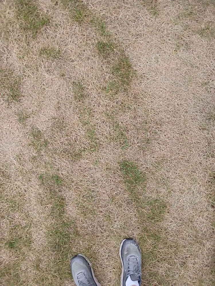 Top-rated garden landscaping for homes across Novi, MI - Great Oaks Landscape Associates