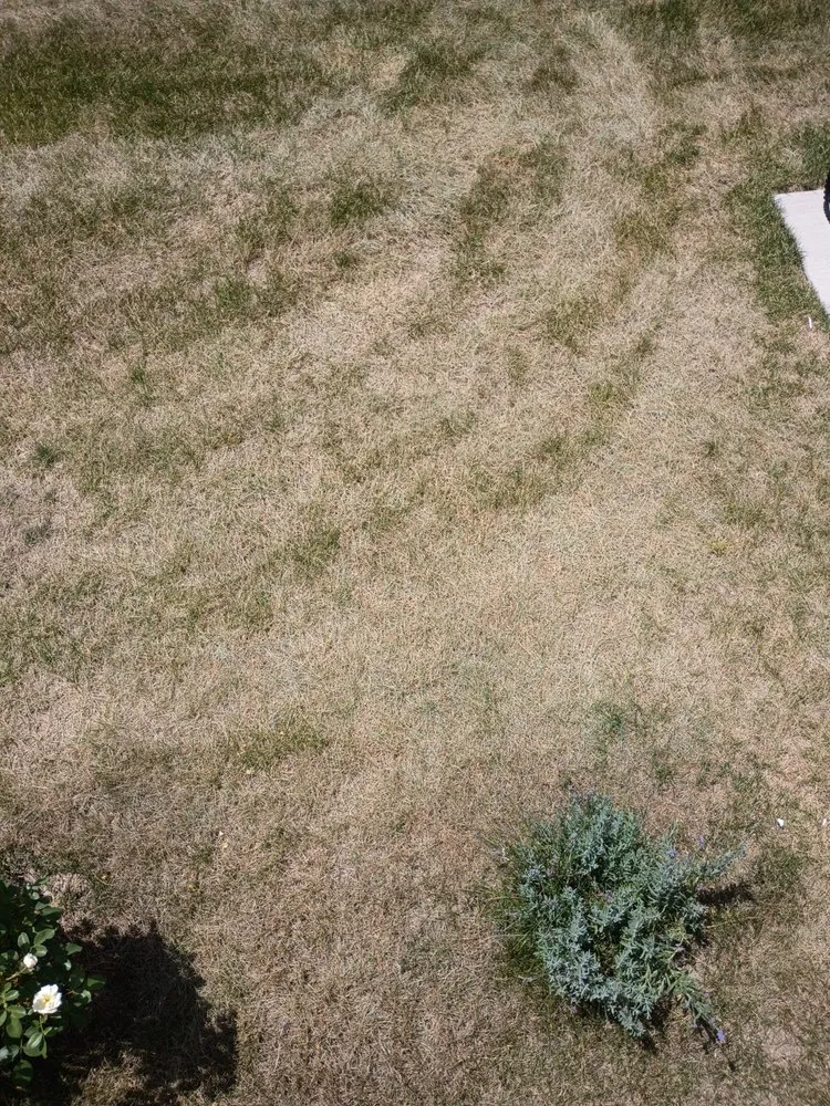 Professional residential landscaping for homes in Novi, MI by Great Oaks Landscape Associates