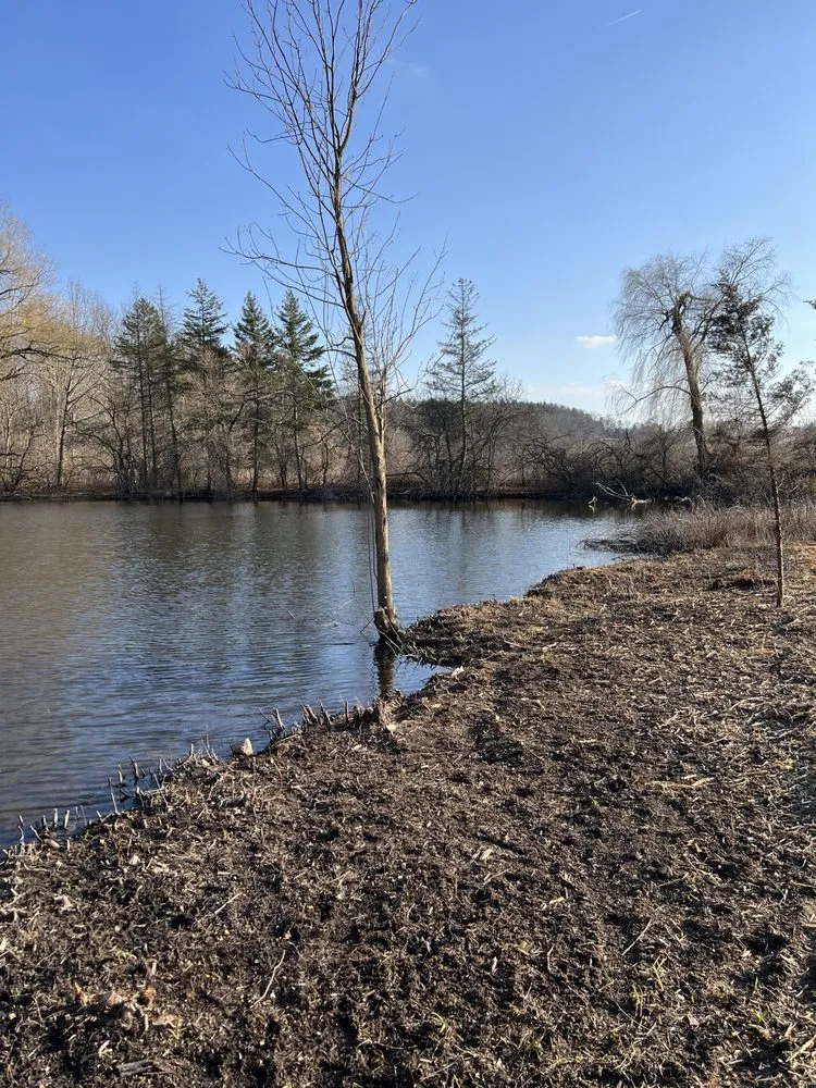 Affordable landscape design for outdoor upgrades in Ann Arbor, MI by Great Outdoors