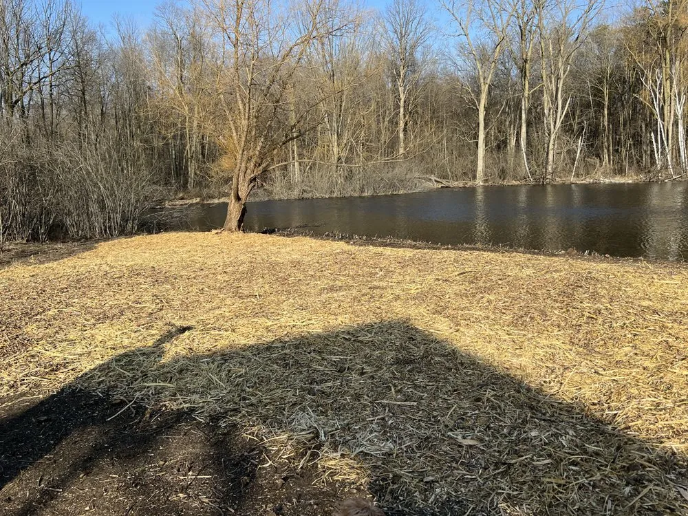 Trusted outdoor landscaping experts serving Ann Arbor, MI - Great Outdoors