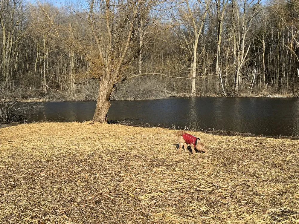 Expert landscape design experts serving Ann Arbor, MI - Great Outdoors