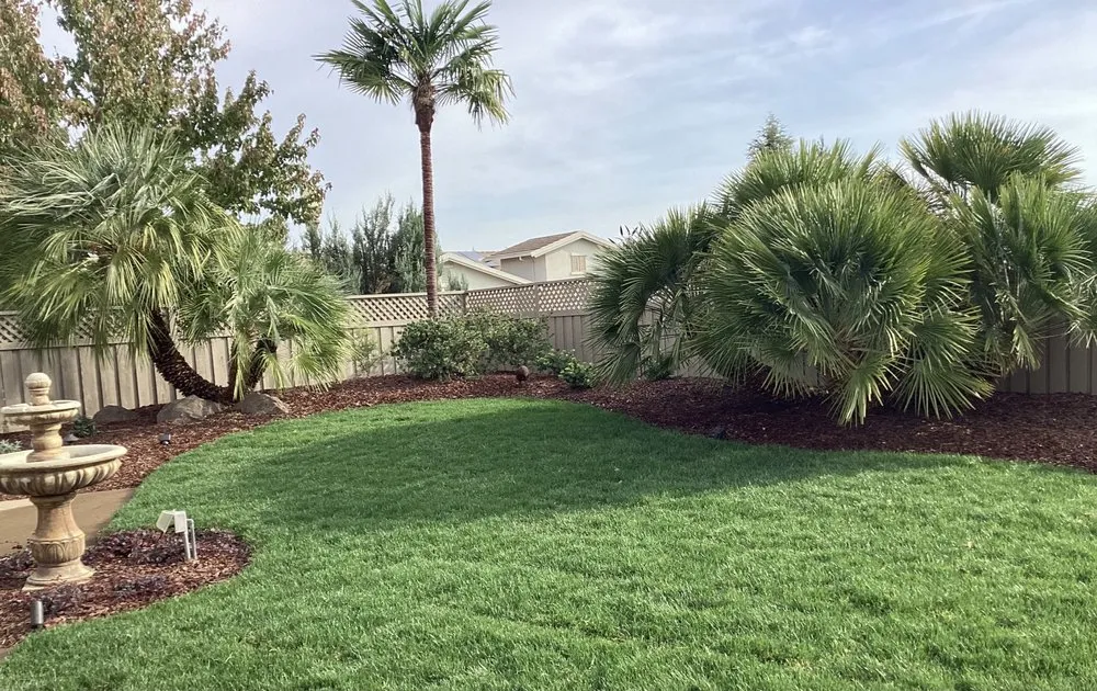 Top-rated outdoor landscaping experts serving Auburn, CA - Great Outdoors Landscaping & Tree Service