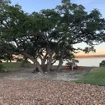 Local outdoor landscaping with custom design in Spring Branch, TX by Great Price Lawn and Tree care