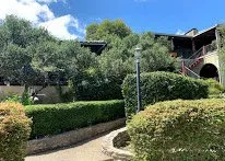 Top-rated landscaping services experts serving Spring Branch, TX - Great Price Lawn and Tree care