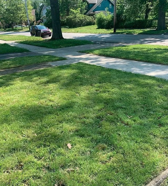 Professional landscaping services in Cleveland, OH - GREAT QUALITY LANDSCAPING