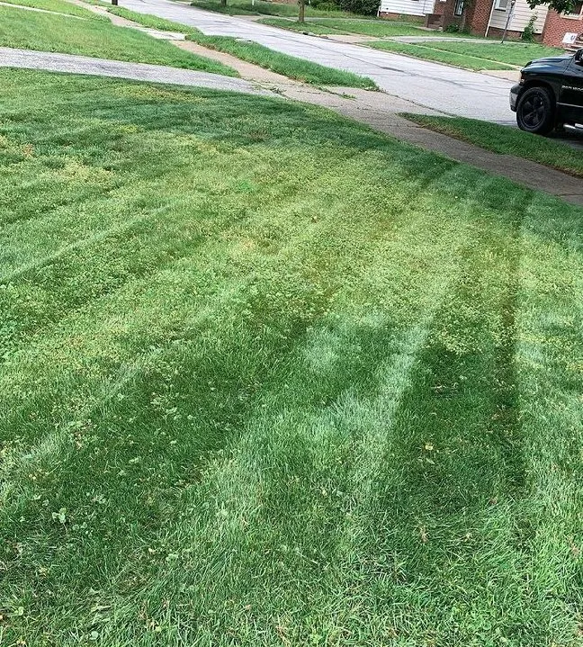 Custom landscape installation in Cleveland, OH - GREAT QUALITY LANDSCAPING