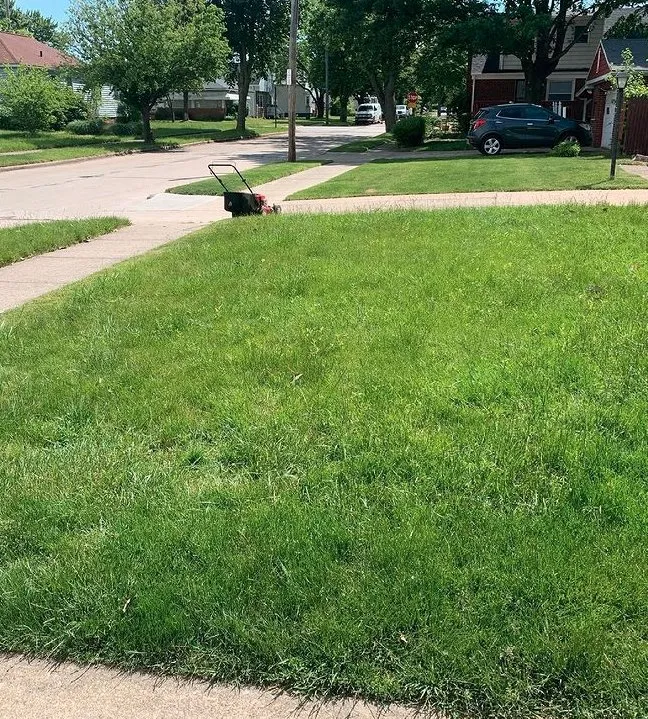 Top-rated yard cleanup service experts serving Cleveland, OH - GREAT QUALITY LANDSCAPING