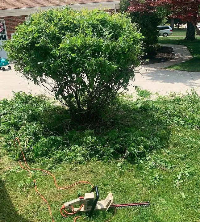 Expert landscape installation for year-round maintenance across Cleveland, OH - GREAT QUALITY LANDSCAPING