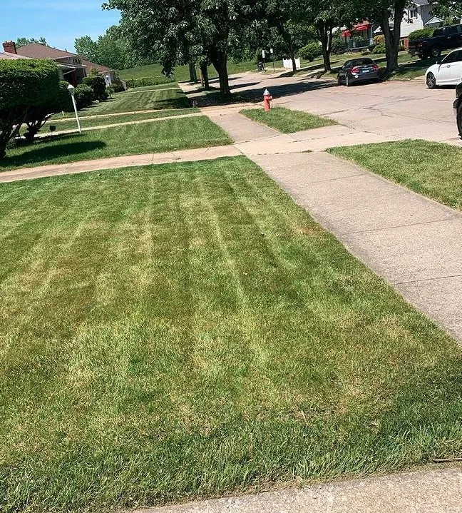Trusted lawn care service for homes in Cleveland, OH by GREAT QUALITY LANDSCAPING