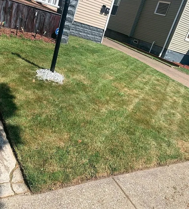 Local yard cleanup service for residential properties in Cleveland, OH by GREAT QUALITY LANDSCAPING