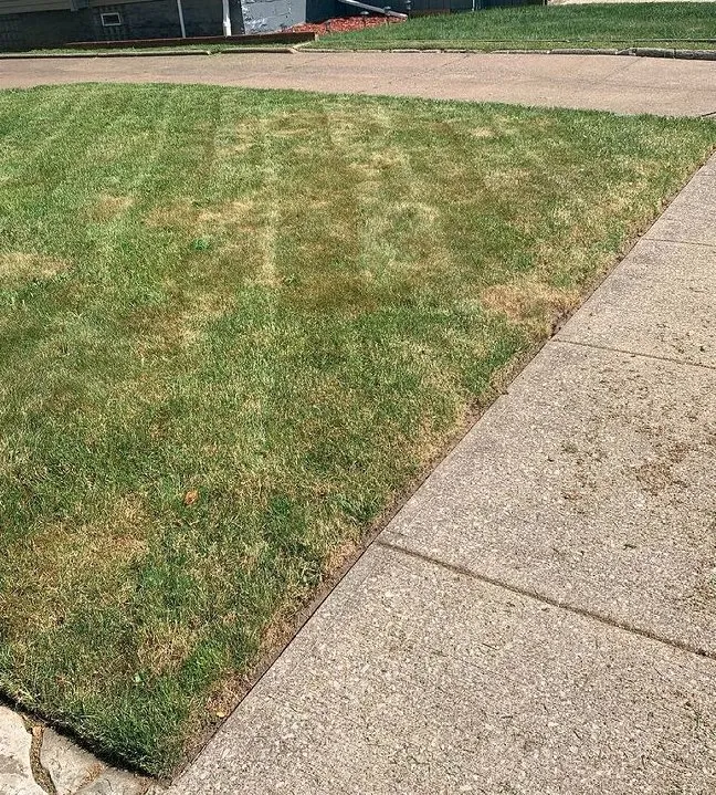 Local yard maintenance near you in Cleveland, OH by GREAT QUALITY LANDSCAPING