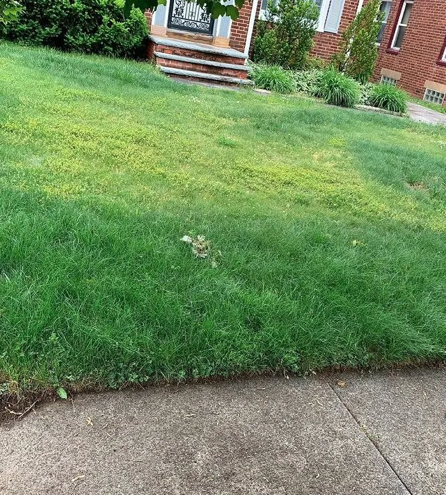 Affordable outdoor landscaping in Cleveland, OH by GREAT QUALITY LANDSCAPING