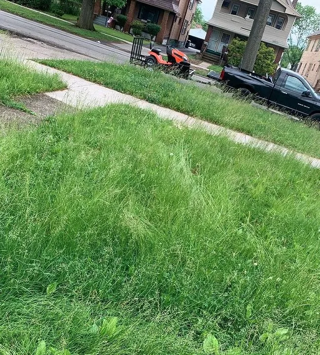 Professional landscaping services near you across Cleveland, OH - GREAT QUALITY LANDSCAPING