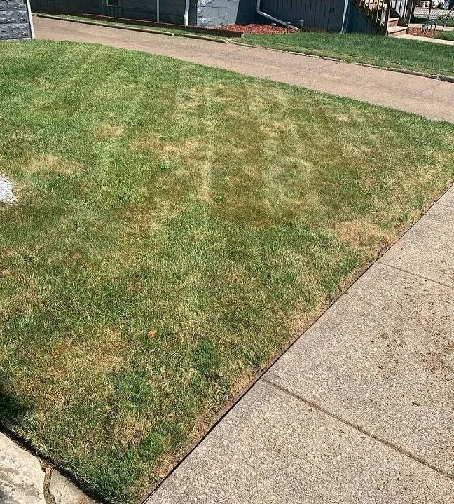 Local lawn mowing service for year-round maintenance in Cleveland, OH by GREAT QUALITY LANDSCAPING