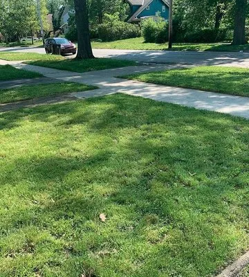 GREAT QUALITY LANDSCAPING Logo