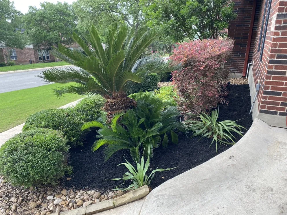 Affordable landscape design with custom design in San Antonio, TX by Great Republic Landscaping & Irrigation