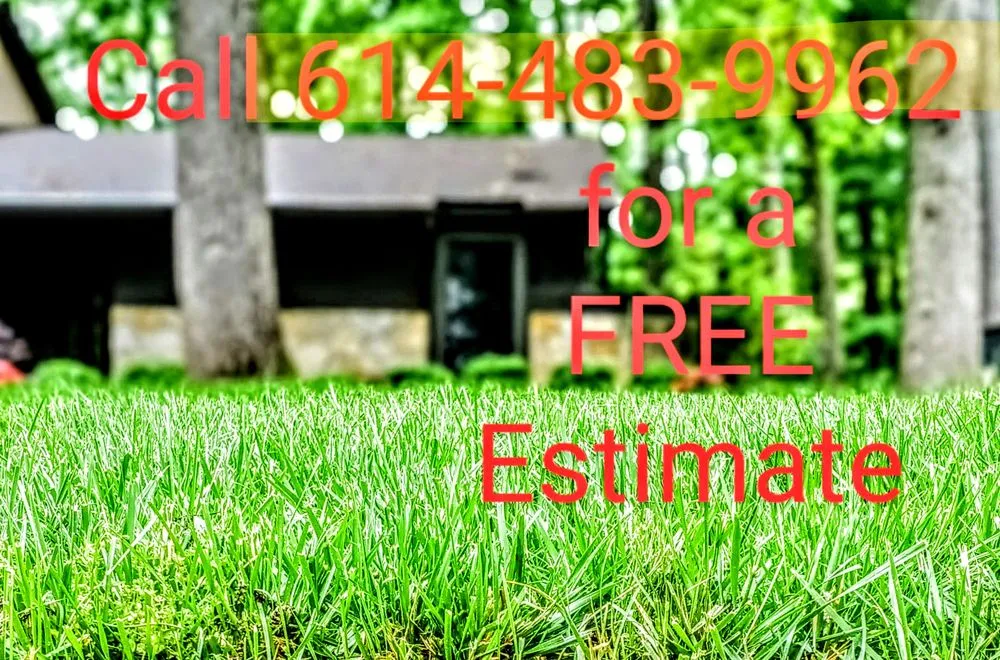 Reliable yard cleanup service in Columbus, OH - Great Results Yardscaping