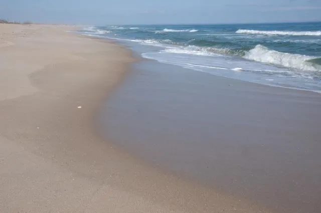 Local lawn care service in Fairfield, CA - Great Scape Landscaping Construction