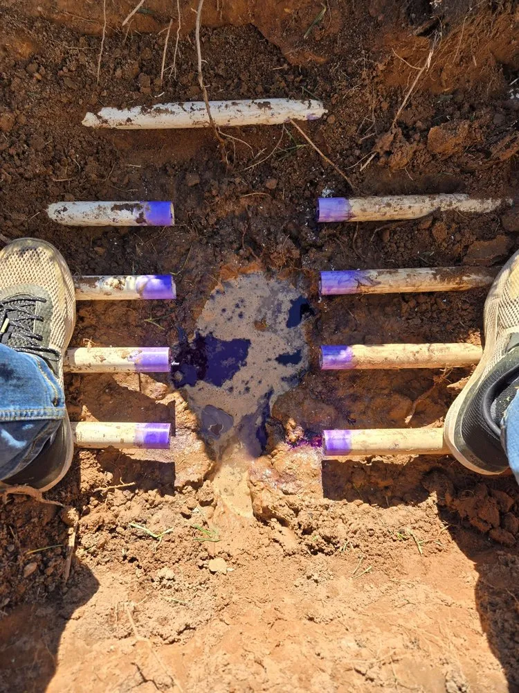 Trusted landscaping services for residential properties in St. George, UT by Great Scapes Landscape Management