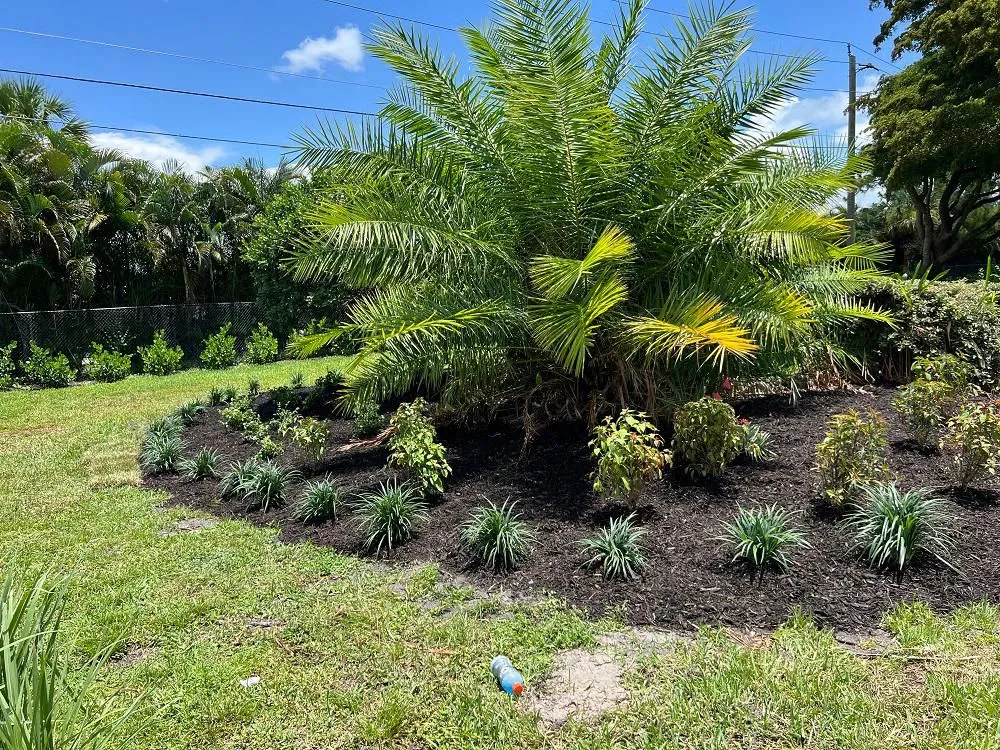 Local landscaping services for beautiful yards across Fort Myers, FL - Great Scapes Landscaping & Lighting