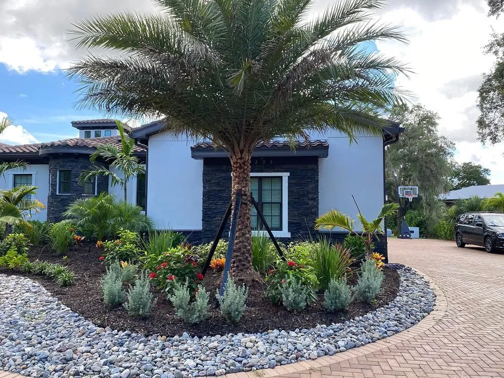 Top-rated landscape installation for year-round maintenance in Fort Myers, FL by Great Scapes Landscaping & Lighting