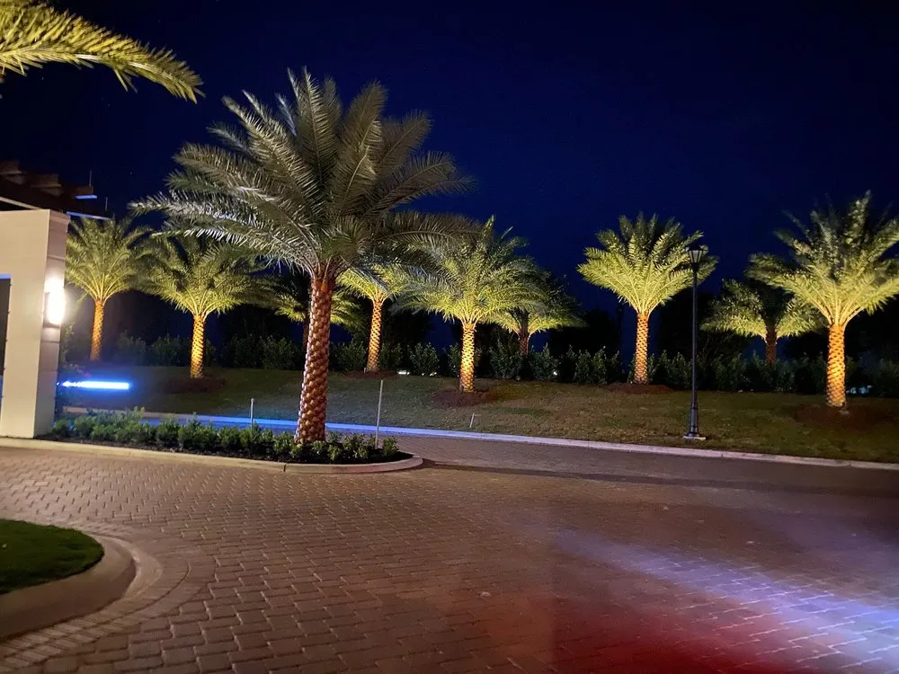 Reliable yard maintenance experts serving Fort Myers, FL - Great Scapes Landscaping & Lighting