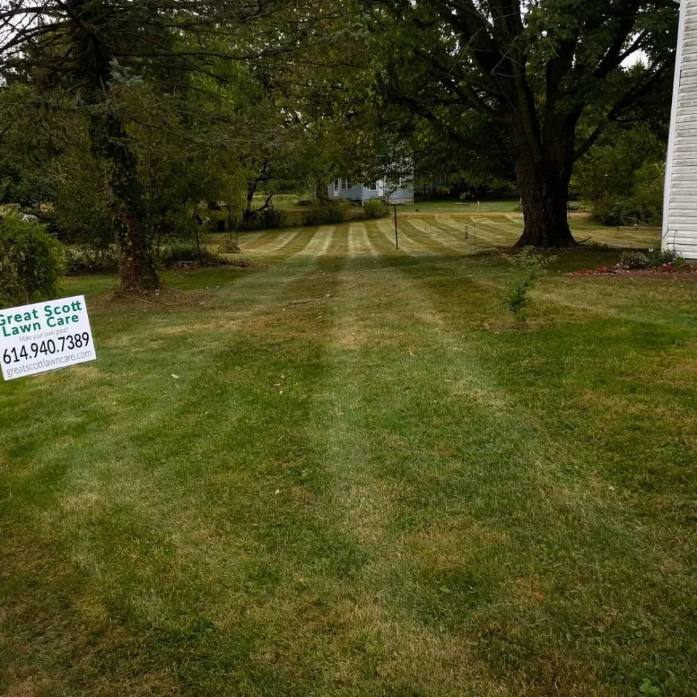 Local yard cleanup service for year-round maintenance in Mount Gilead, OH by Great Scott Lawn Care
