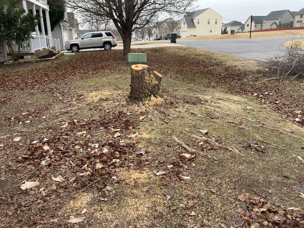 Trusted residential landscaping for year-round maintenance in Clayton, NC by Great Scott's Residential Services